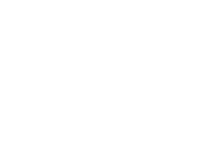 Alpine Action